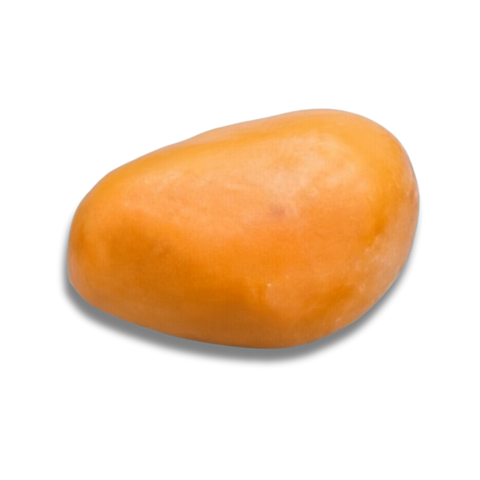 Groovy Grove | Shampoo Bar